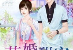 总裁夺爱失婚妻